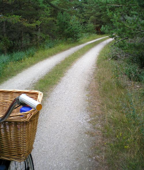 En bit vacker grusväg ute på Ryssudden, Fårö