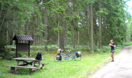 Myggig lunchpaus mitt i skogen