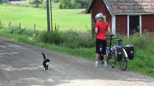 Vi råkade trampa in i den här rackarens revir