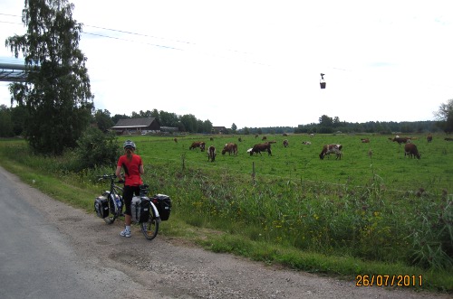 Detta var kalklinbanans dag. En bild med allt som behövs: kalklinbana, tandemcykel och kossor.