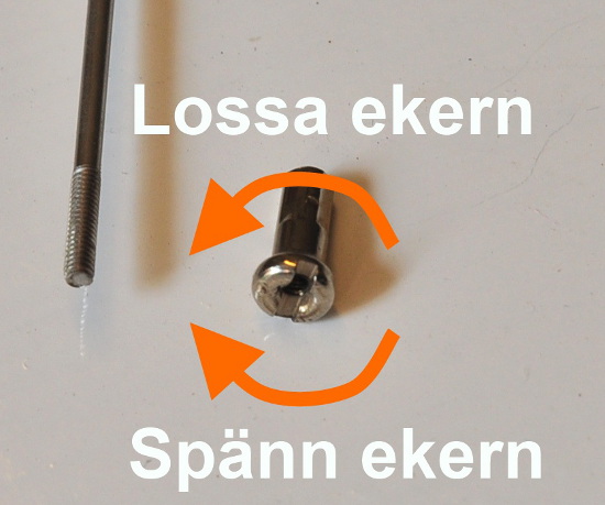 Närbild på en ekers fälgände och tillhörande nippel. Nippeln går att justera både med ekernyckel som greppar den fyrkantiga änden eller skruvmejsel inifrån fälgen.